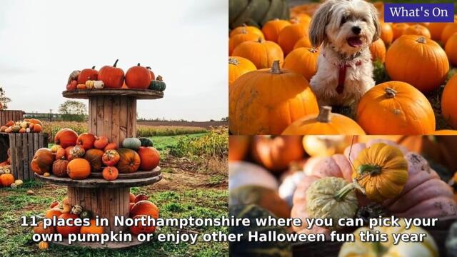 Northampton Chronicle & Echo Morning Update 26 September, 2025