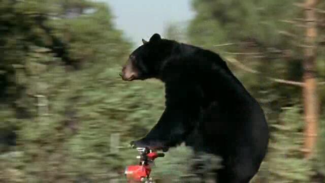 Любимият спорт на мъжете (Man's Favorite Sport 1964) 1/2