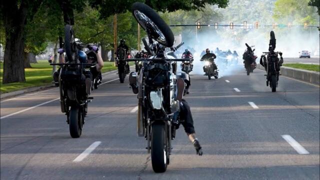 The Swarm 2025 ( Official Video ) 