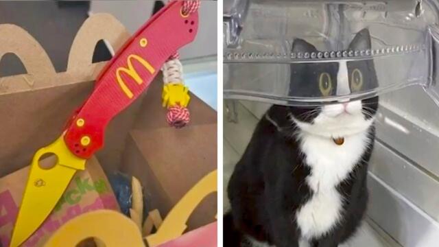 Фотографии, которые вызовут шок и смех