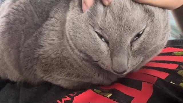 멈출수없는 꾸깃