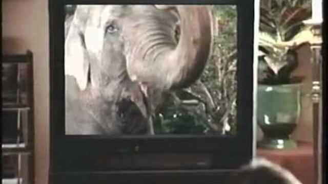 Opening to Lady and the Tramp 1998 VHS