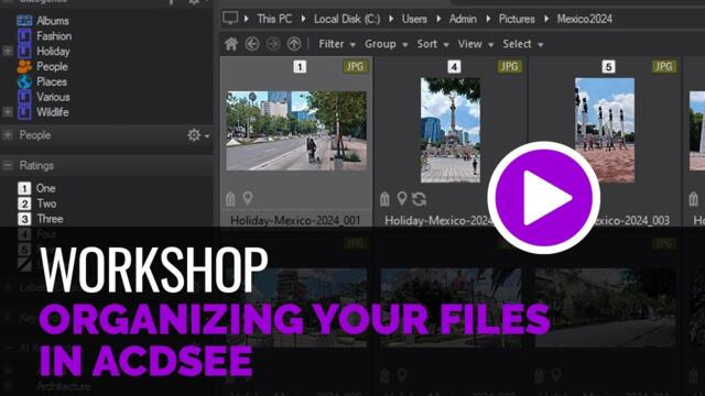 Organizing Your Files in ACDSee