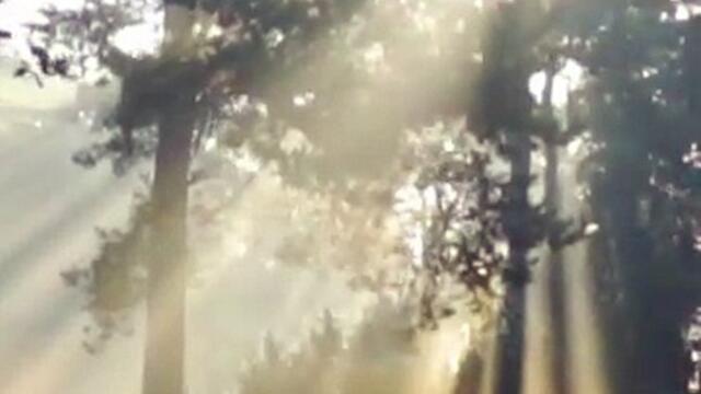 Ocean Waves at Sunset