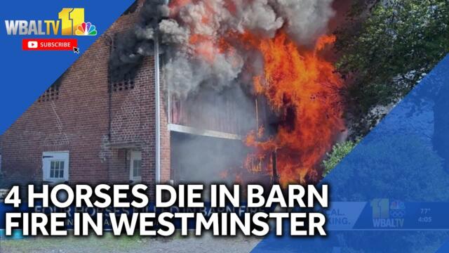 4 horses dead after barn fire in Westminster