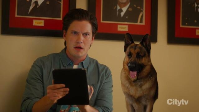 Hudson & Rex Season 8 Episode 2 Runaway Witness (Sep 29, 2025) Full Episode HD