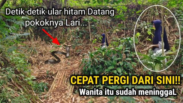 MUSTAHIL PERCAYA!! TAPI ORANG INI BERTAHAN HIDUP 100 HARI DI DALAM HUTAN