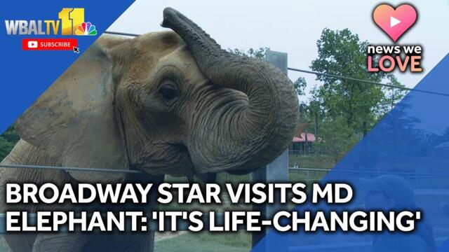 'Water for Elephants' star learns from Maryland Zoo experience