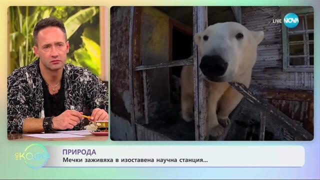 Мечки заживяха в изоставена научна станция - „На кафе” (01.10.2025)