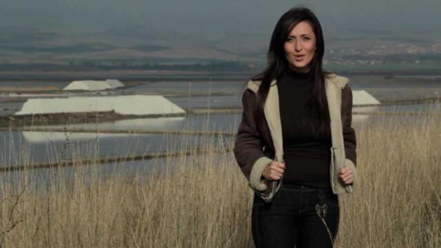 Мери Бойс Бенд – Ще успея ли някога да надбягам птиците