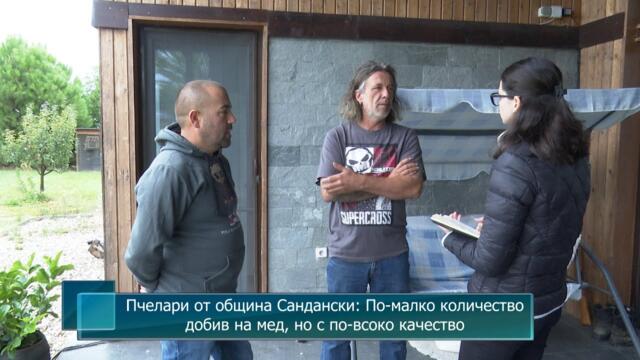 Пчелари от община Сандански: По-малко количество добив на мед, но с по-всоко качество
