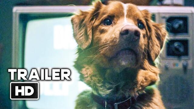 GOOD BOY Official Trailer (2025) Horror Movie HD