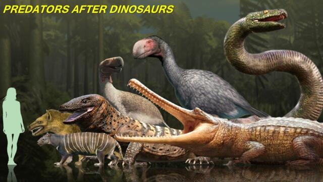 The 20 Predators That Dominated After Dinosaur Extinction