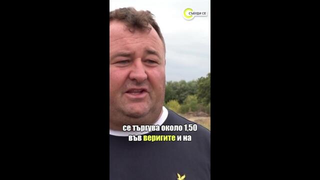 Бутиковите тикви – новият хит в българското земеделие #събудисе #тиква #българия #хит #земеделие