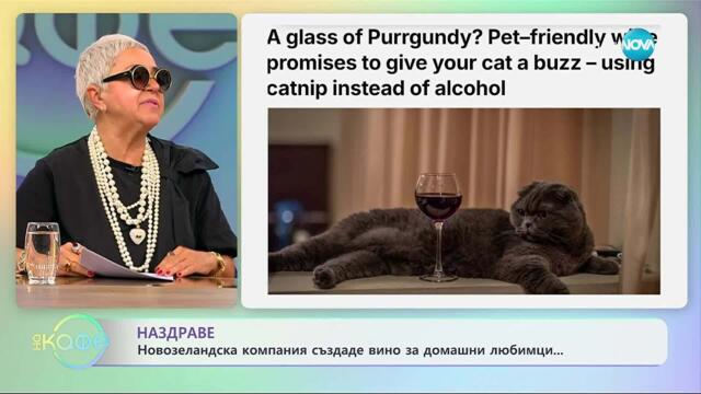 Новозенландска компания създаде вино за домашни любимци - „На кафе” (02.10.2025)