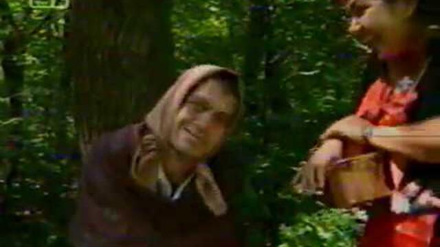 Каналето - Сигурност във вълчи времена