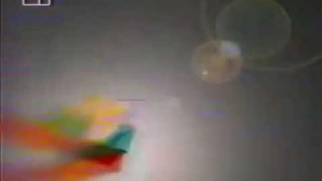 Каналето (1995г.)