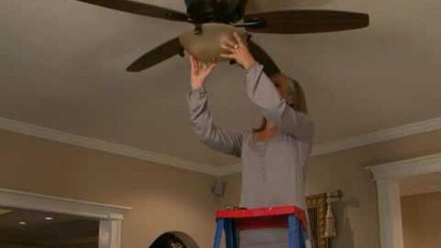 Click-In Hugger Fan Video