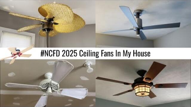 #NCFD Special: Ceiling Fans In My House 2025