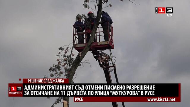 Съдът в Русе отмени разрешението за отсичане на дървета по ул. "Муткурова"