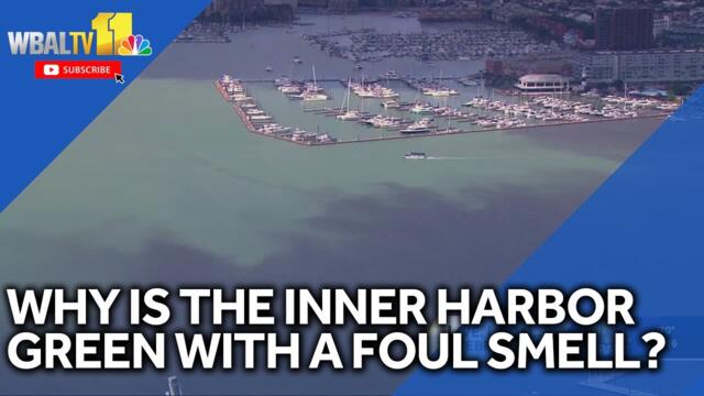Why is the Inner Harbor green? An expert explains
