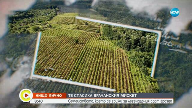 „Нищо лично": Семейството, което спаси врачанския мискет