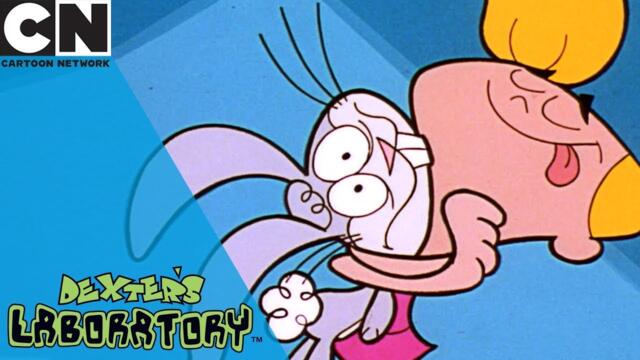 Dexter's Laboratory | Animal Swapping Remote | Cartoon Network