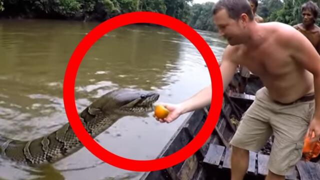 Rare Giant Anaconda Discovered in Amazon Jungle – Luxury Tour Part 3