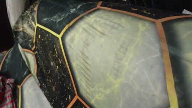 XXL XXL XXL XXL FREESTYLE 2024 |XXL 2025 | Xxwd5000xa | XXL XXL XXL XXL FREESTYLE