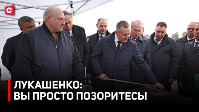 Лукашенко: ОБНАГЛЕЛИ ДО КРАЙНЕЙ СТЕПЕНИ! | Президент на птицефабрике