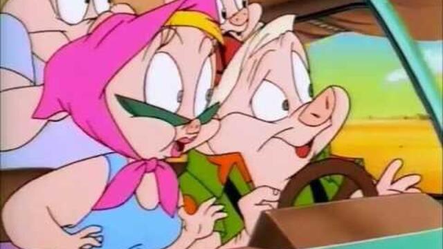 There's a Car! - Tiny Toons