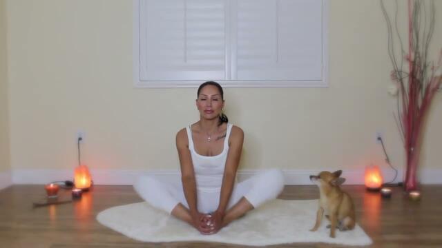 Home Yoga