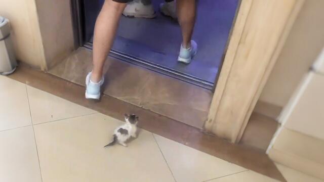 He begged everyone for help at the elevator, but they all pretended not to see...