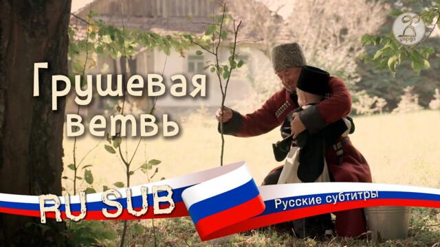 Короткометражный фильм  «Грушевая ветвь» / «Кхъужьей къудамэ» 2024 (с русскими субтитрами)