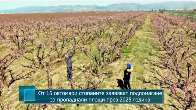 От 15 октомври стопаните заявяват подпомагане за пропаднали площи през 2025 година