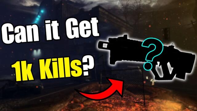 Can I Get 1k Kills with a RANDOM Gun?