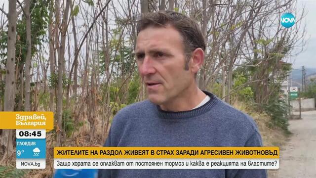2 години по-късно: Животновъд продължава да тормози благоевградско село