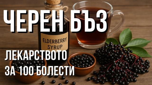 ЧЕРЕН БЪЗ – тайното ОРЪЖИЕ за силен ИМУНИТЕТ и добро здраве!