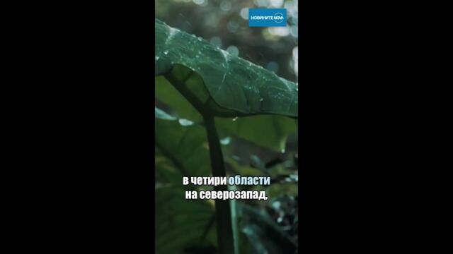 Лошото време се завръща: Оранжев код за валежи в Южна България #novinitenanova #времето #дъжд
