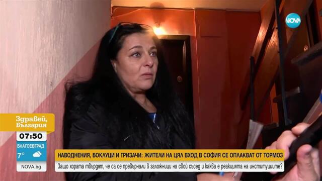 Наводнения, боклуци и гризачи: Жители на цял вход в София се оплакват от тормоз от съсед