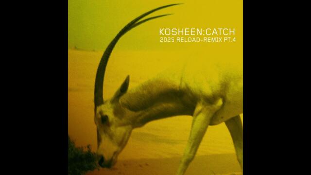 Kosheen - Catch: 2025 Reload (Adamon & Bella Kri Remix Medial Edit) [Official Audio]