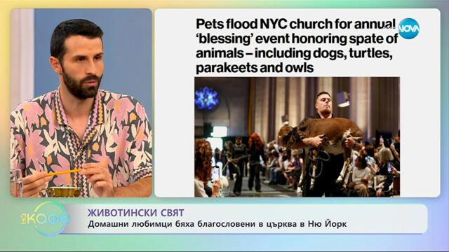 Домашни любимци бяха благословени в църква в Ню Йорк - „На кафе“ (08.10.2025)