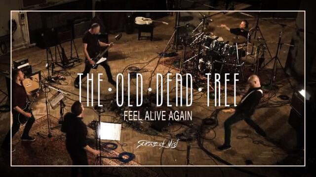 The Old Dead Tree - "Feel Alive Again" (Official Video)