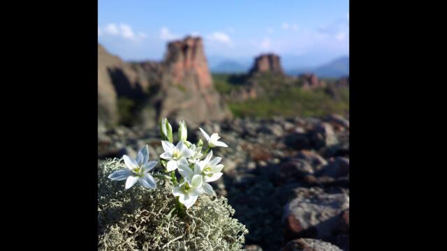 Извънредно заседание на Общински съвет - Белоградчик - 8.10.2025 г.