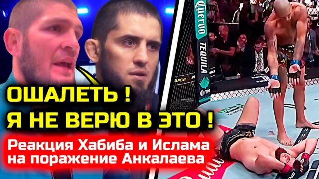 СИЛЬНАЯ РЕАКЦИЯ Хабиба и Ислама на поражение Анкалаева! Магомед Анкалаев Алекс Перейра 2