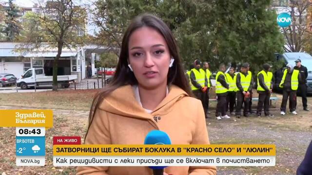 Доброволци и затворници чистят София