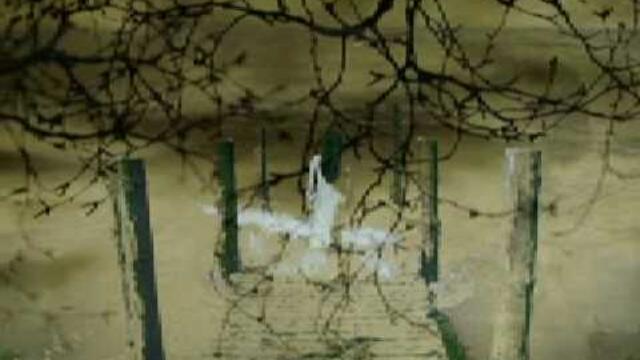 Σου τηλεφωνώ - Graviton