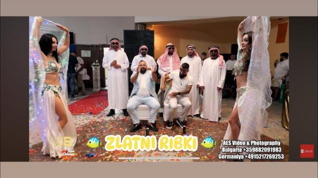 ORK PRIMA - ZLATNI RIBKI Kuchek 2025 Live