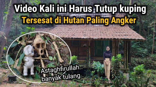 PLEAS.. INI MISTERIUS!! 10 TAHUN TERSEMBUNYI PILIH TINGGAL DI RUMAH TENGAH HUTAN BELANTARA
