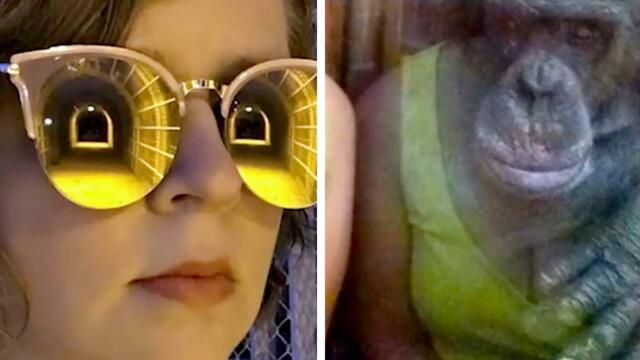 Не всё, что видно в зеркале, — правда